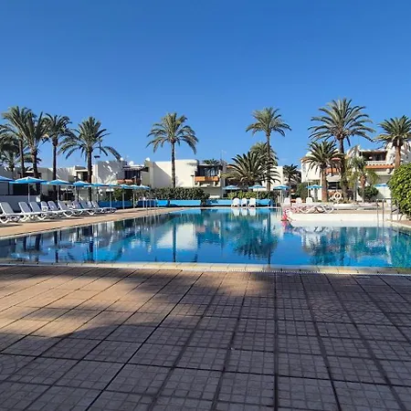 Summer Terrace Paradise