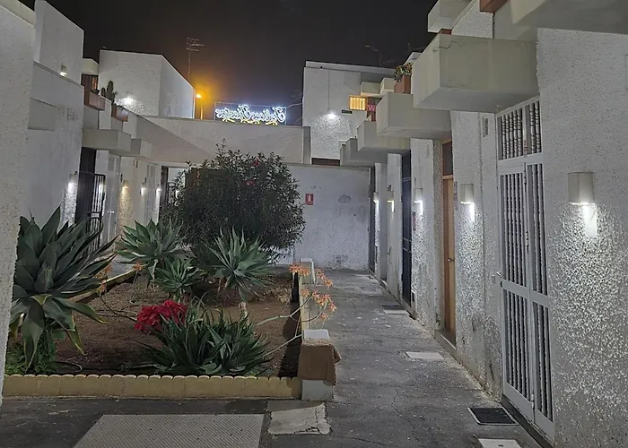 Summer Terrace Paradise * コスタ・デル・シレンチオ